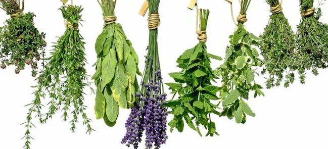 Herbal pikeun ngaronjatkeun potency di lalaki
